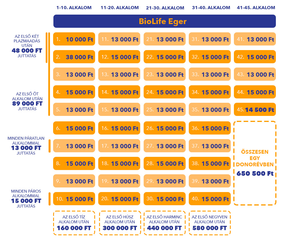 Éves juttatás opció 2