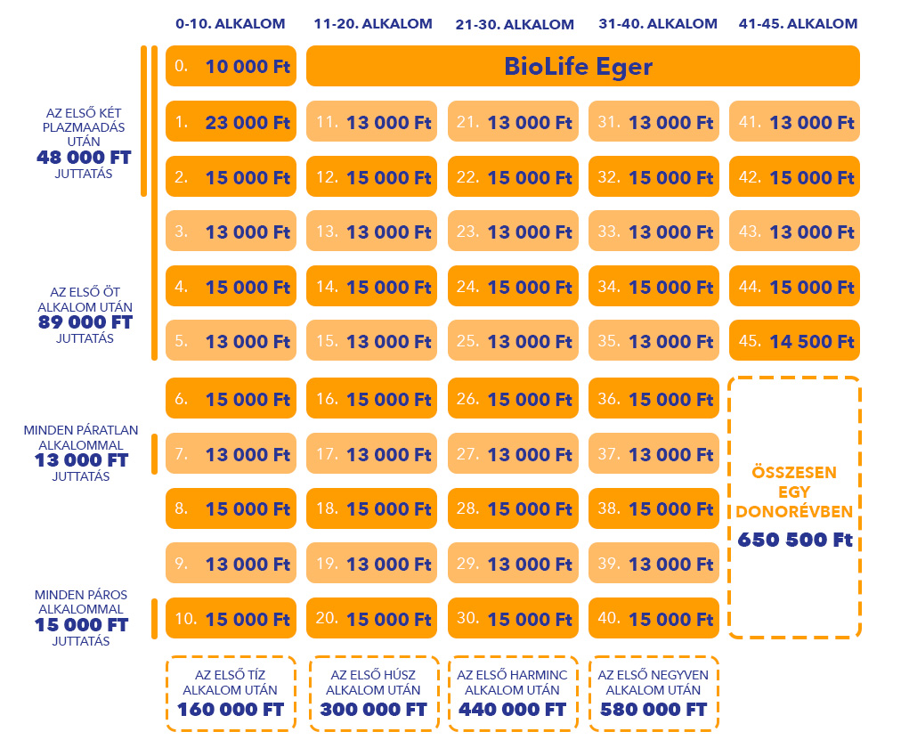 Éves juttatás opció 1