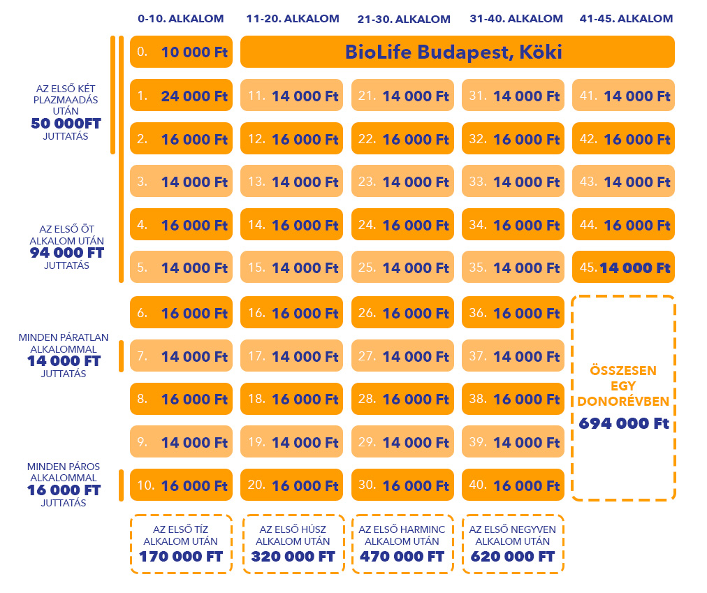 Éves juttatás opció 1