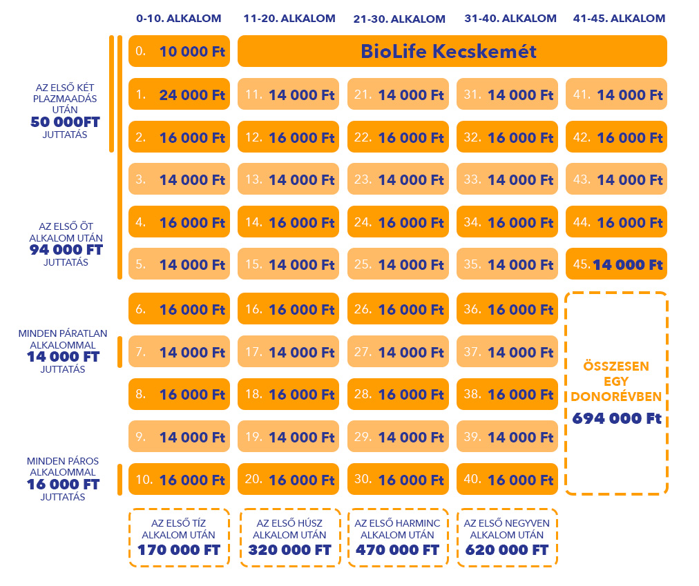 Éves juttatás opció 1