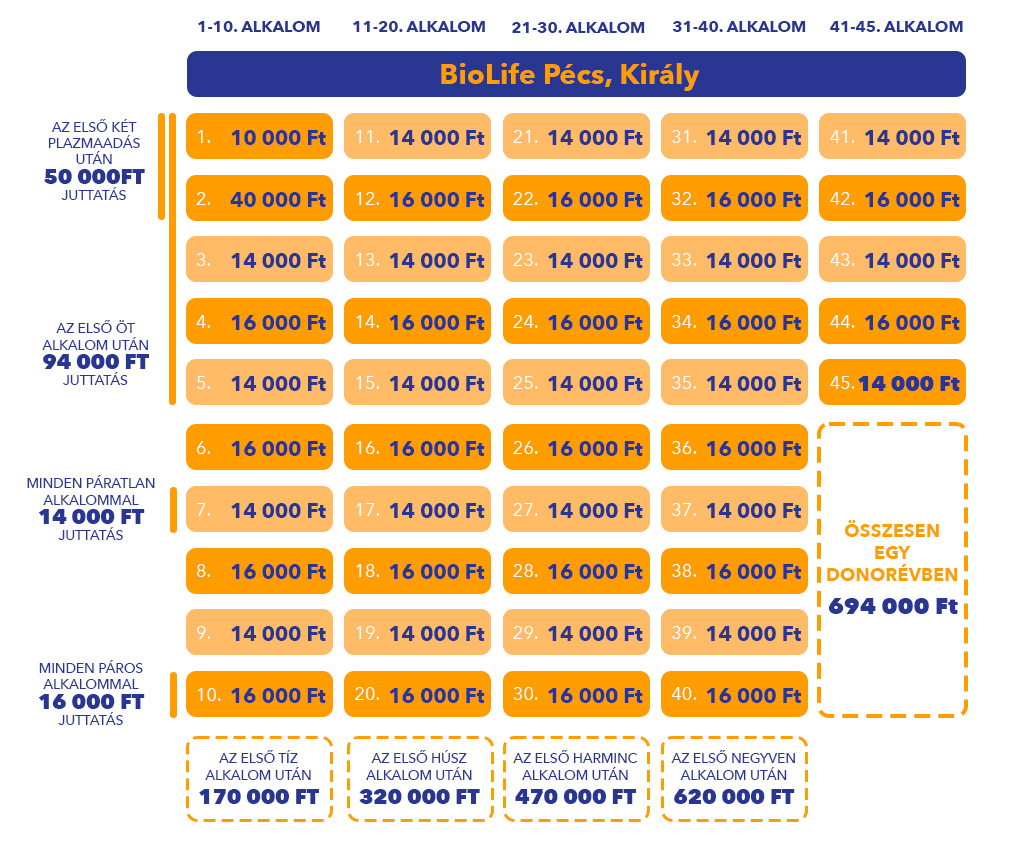 Éves juttatás opció 2